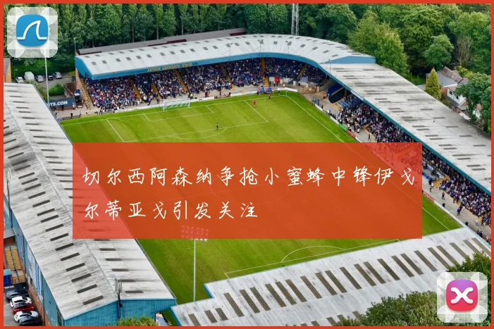 切尔西阿森纳争抢小蜜蜂中锋伊戈尔蒂亚戈引发关注